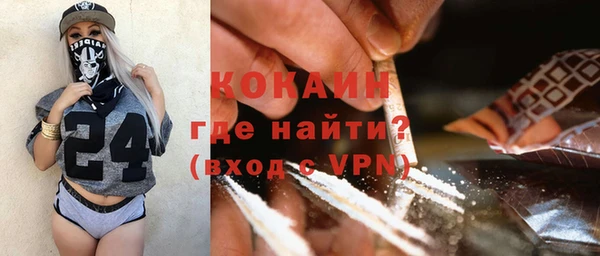 прущий лед Новозыбков