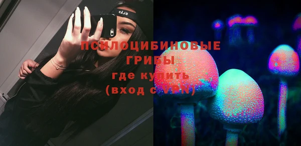 ГАЛЛЮЦИНОГЕННЫЕ ГРИБЫ Новокубанск