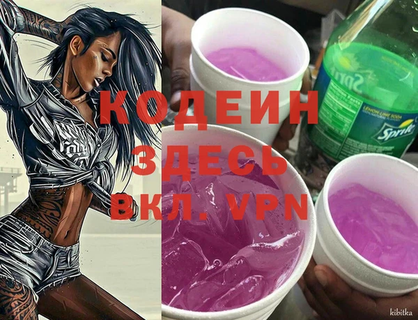 прущий лед Новозыбков
