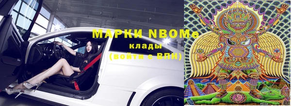 прущий лед Новозыбков