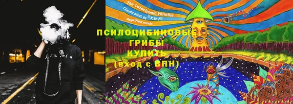 прущий лед Новозыбков