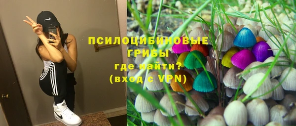 ГАЛЛЮЦИНОГЕННЫЕ ГРИБЫ Новокубанск