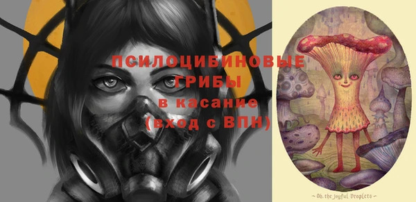 ГАЛЛЮЦИНОГЕННЫЕ ГРИБЫ Новокубанск