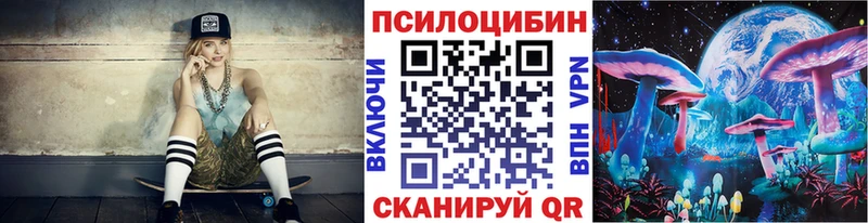 цена наркотик  Порхов  Галлюциногенные грибы Cubensis 